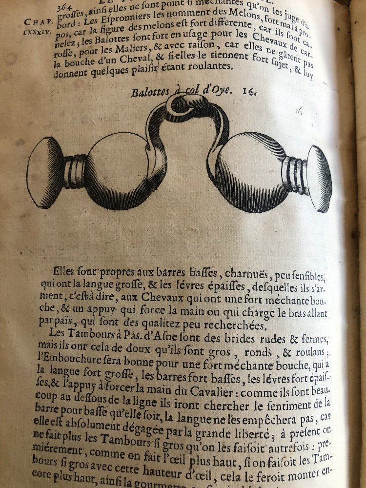 « Le Parfait Mareschal » écrit par Jacques de Solleysel 1685-photo-8