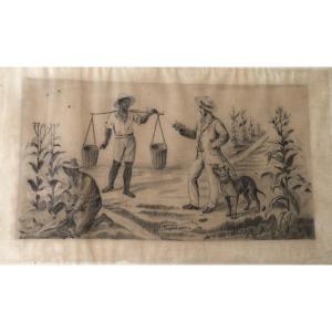 Tobacco Plantation, Cuba, Early  19 Century Lithograph