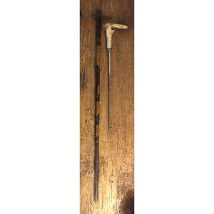 Canne épée Lame de Tolède et pommeau en Corne Zoomorphe XIX