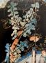 1834498-alb-6ac77b2bb1bd5.jpg