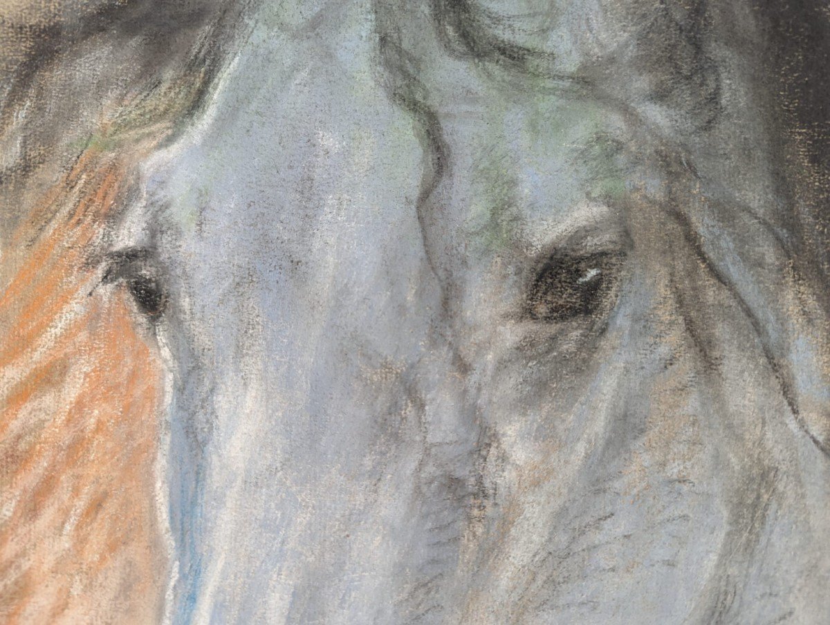 Lucien Lévy-dhurmer, Cheval, Pastel Sur Papier-photo-2