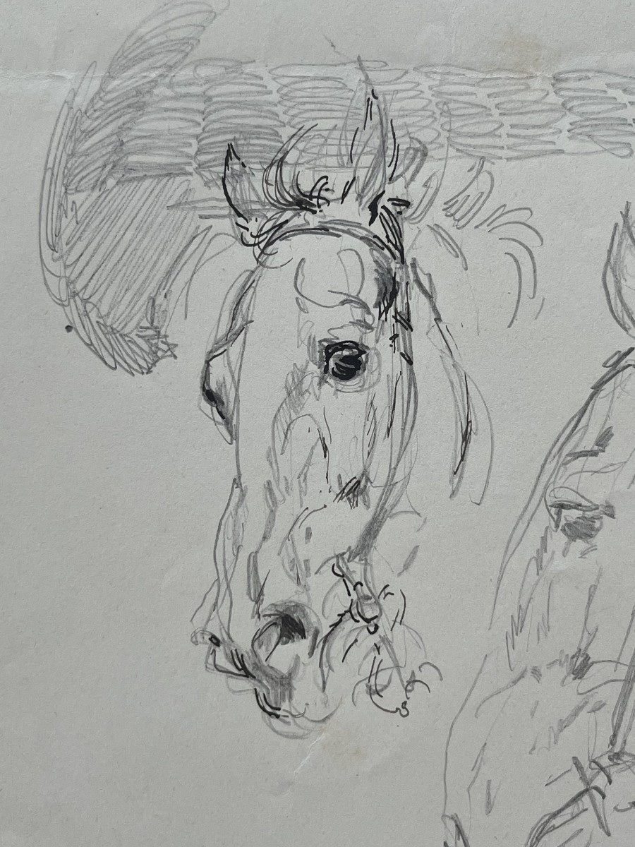 Edouard Detaille, Study Of A Horse's Head, 1897, Drawing-photo-2