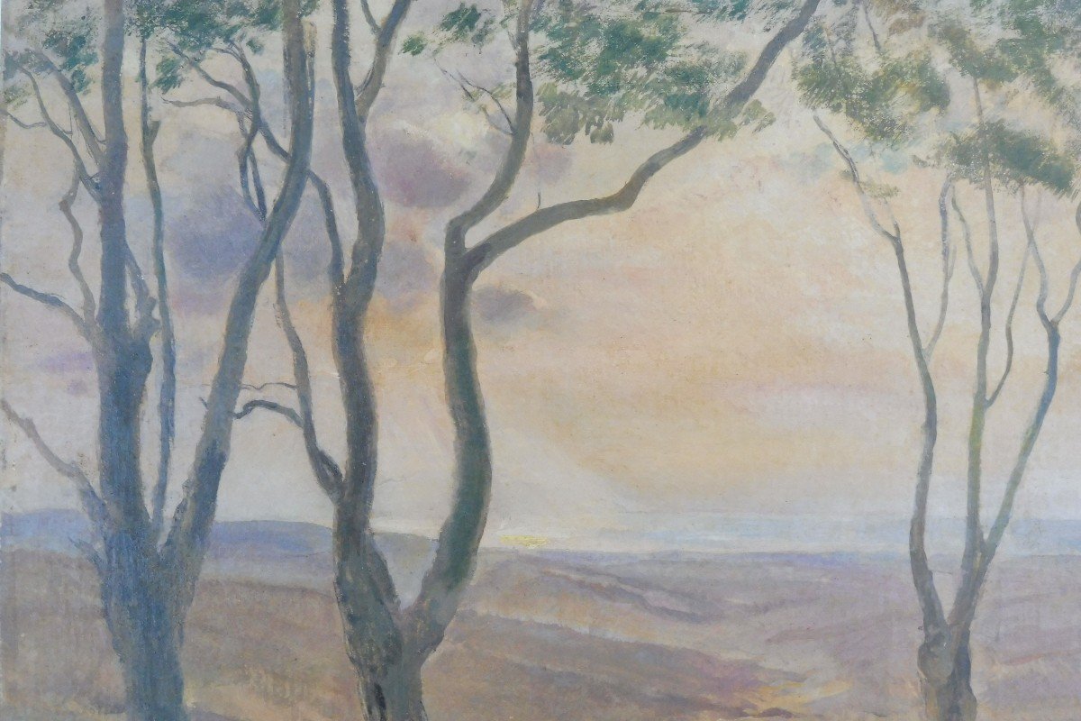 Léon Carré 1878-1942 Landscape Of Kabylia Algeria Oil On Cardboard-photo-2