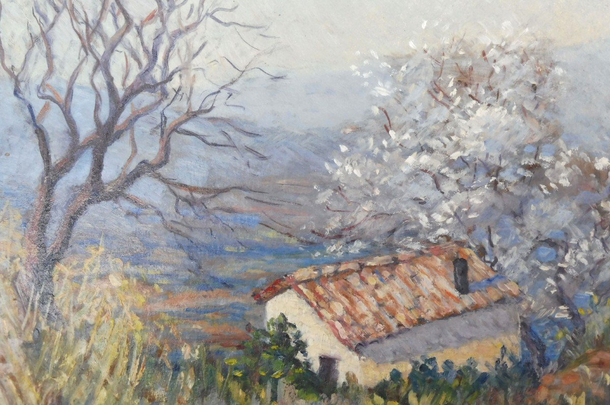 Georges Ricard-cordingley 1873-1939 Amandiers En Fleurs à Mougins Et  Voilier-photo-2