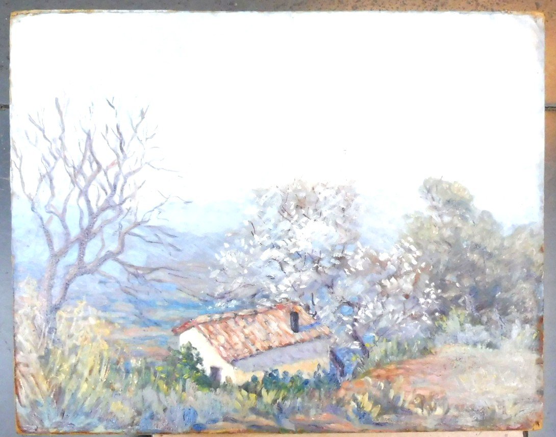 Georges Ricard-cordingley 1873-1939 Amandiers En Fleurs à Mougins Et  Voilier