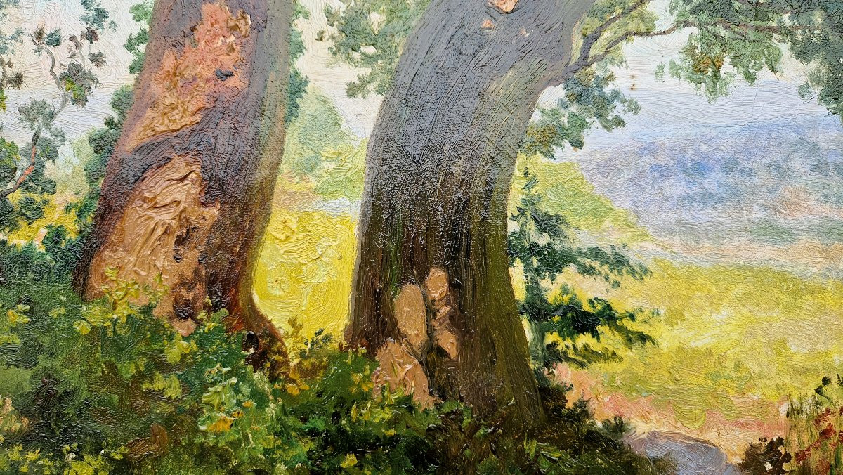 François Marius Valère-bernard 1860-1936 Trees In Provence Oil On Canvas-photo-4