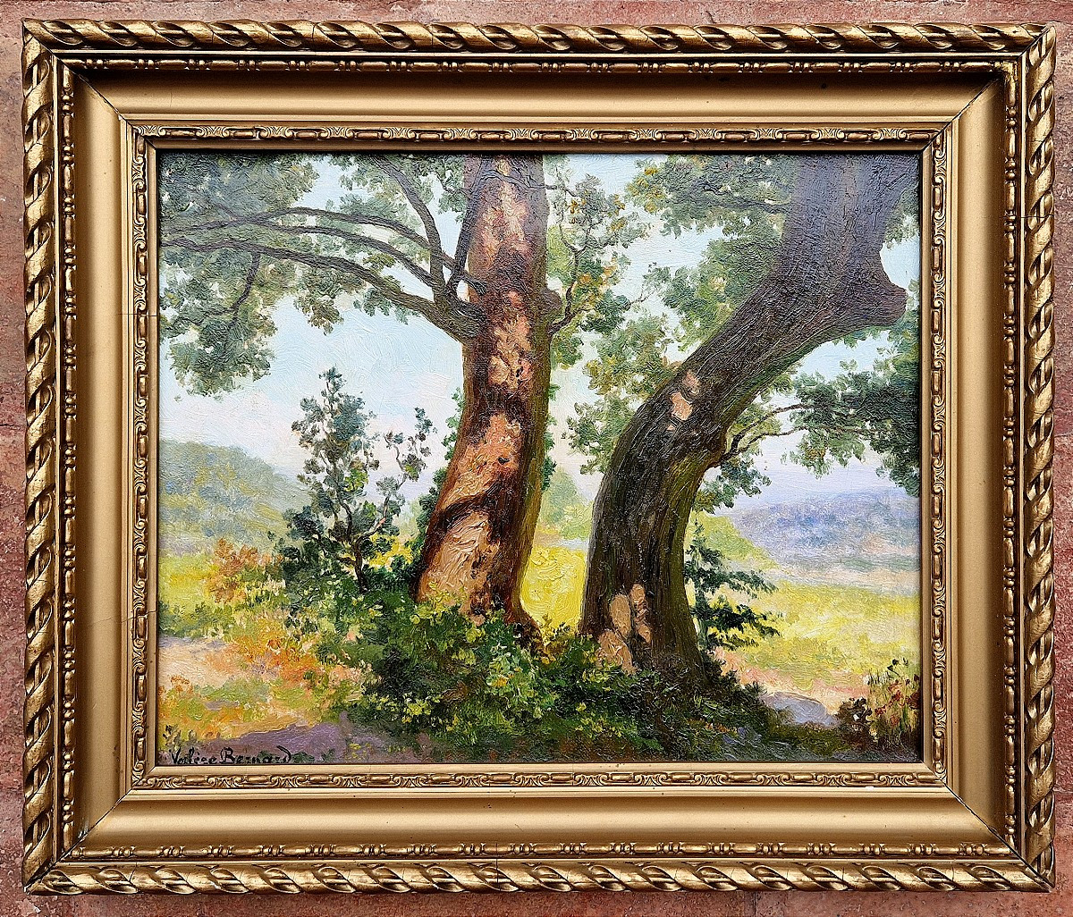 François Marius Valère-bernard 1860-1936 Trees In Provence Oil On Canvas