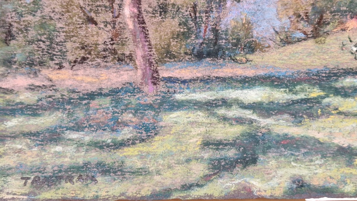 John William Tristram 1872-1938 Meadow In Spring Pastel-photo-3