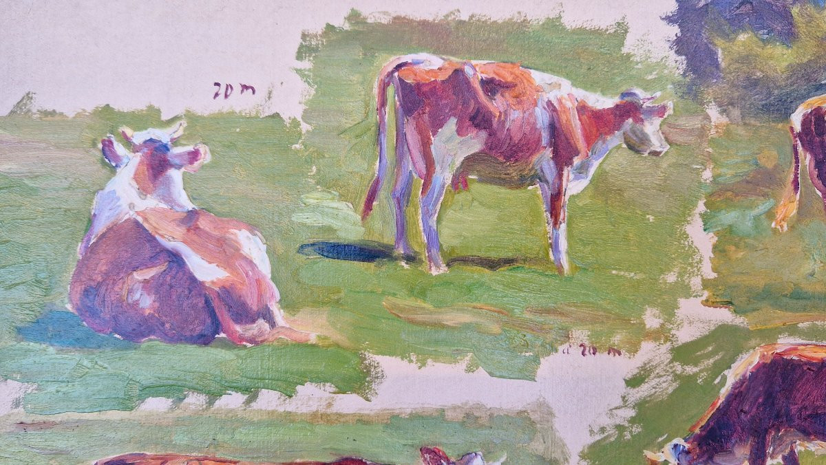 Charles Wislin 1852-1922 Carolles Etudes de vaches Huile sur papier-photo-2