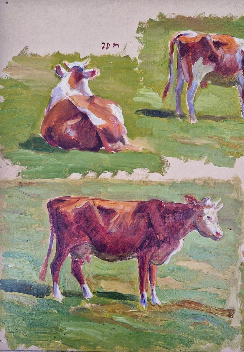 Charles Wislin 1852-1922 Carolles Etudes de vaches Huile sur papier-photo-3