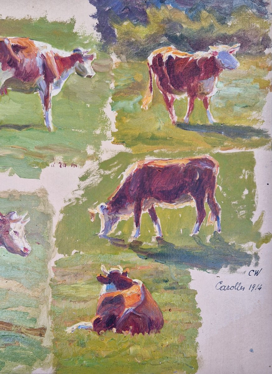 Charles Wislin 1852-1922 Carolles Etudes de vaches Huile sur papier-photo-4