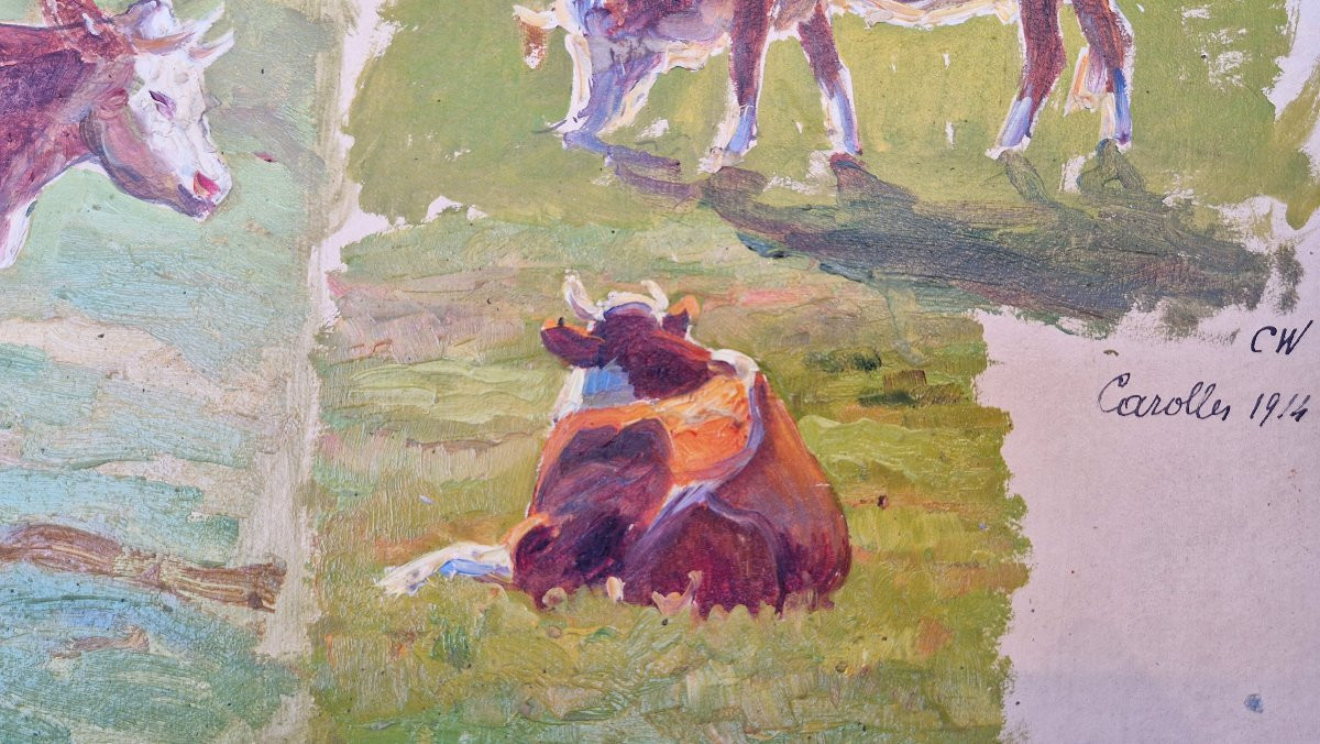 Charles Wislin 1852-1922 Carolles Etudes de vaches Huile sur papier-photo-1