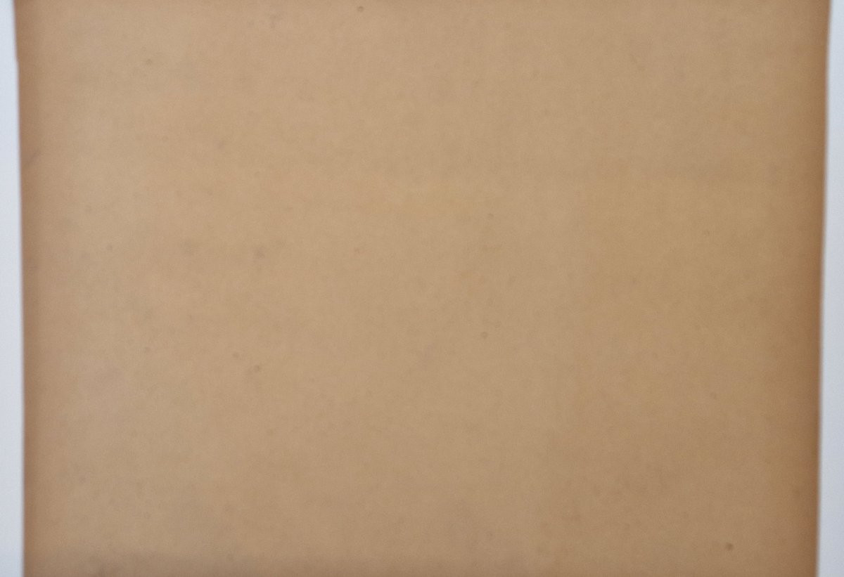 Charles Wislin 1852-1922 Carolles Etudes de vaches Huile sur papier-photo-2