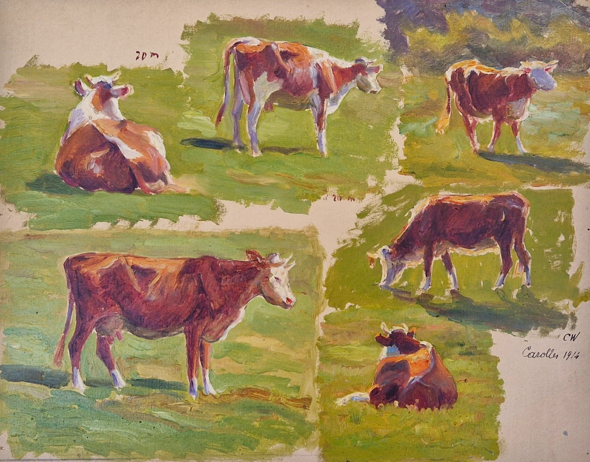 Charles Wislin 1852-1922 Carolles Etudes de vaches Huile sur papier
