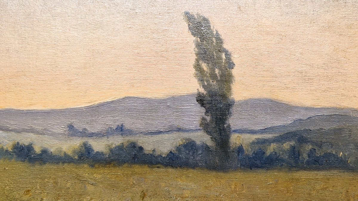 Alphonse Osbert 1857-1939 Peuplier sous le vent Huile sur carton-photo-3