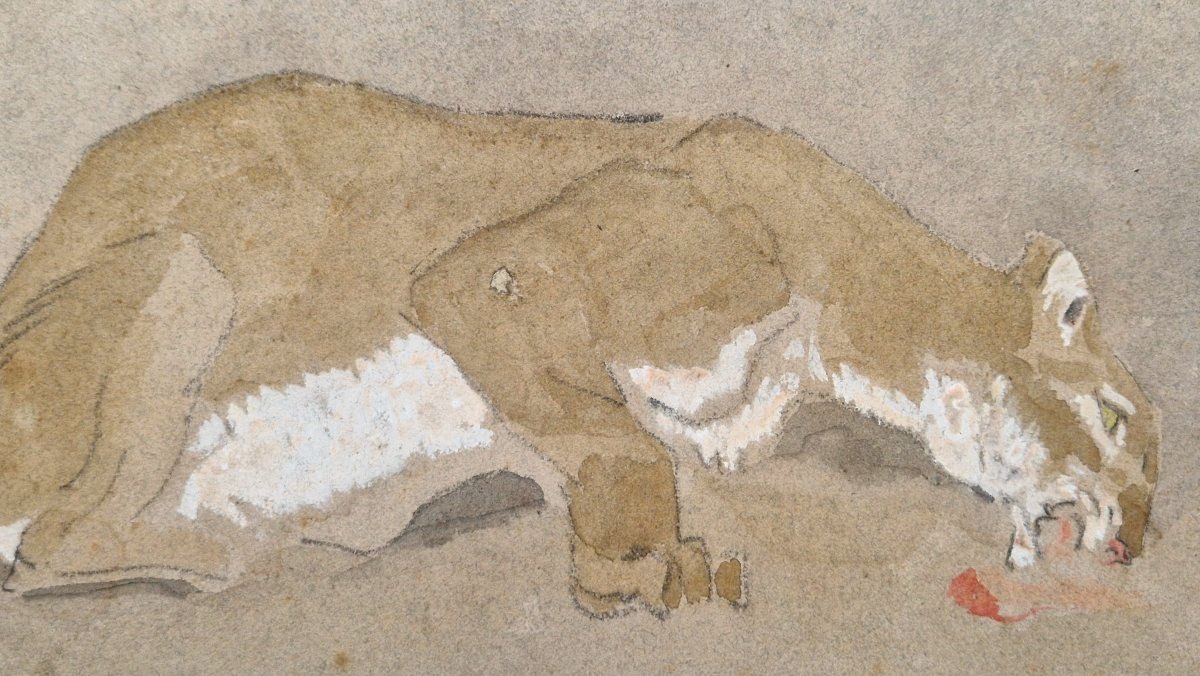 Charles Edme Saint Marcel 1819-1890 Repas de la lionne Aquarelle et gouache-photo-2