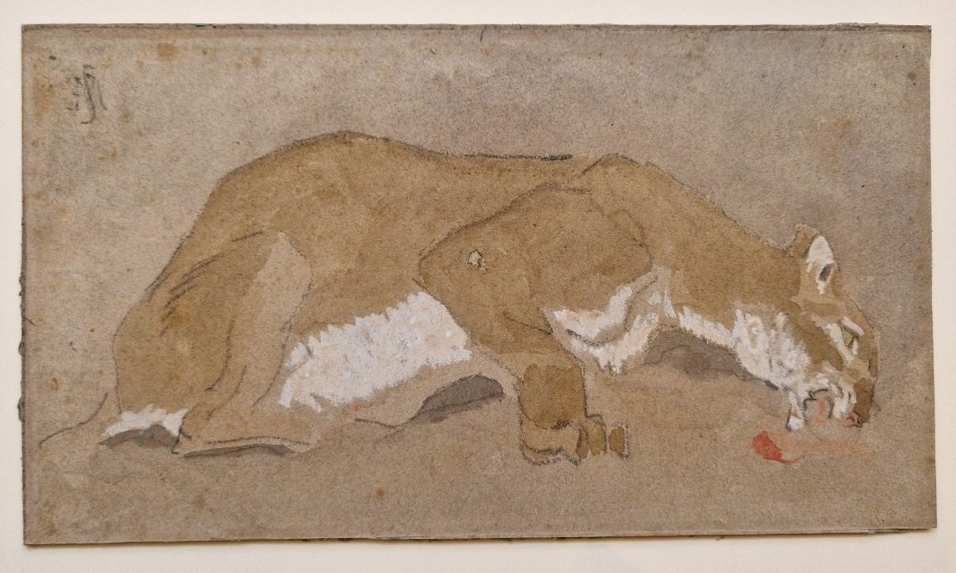 Charles Edme Saint Marcel 1819-1890 Repas de la lionne Aquarelle et gouache
