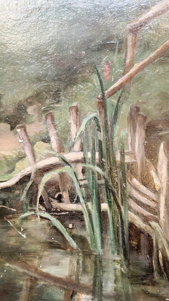 Constant Dutilleux 1807-1865 Les roseaux Huile sur carton-photo-3