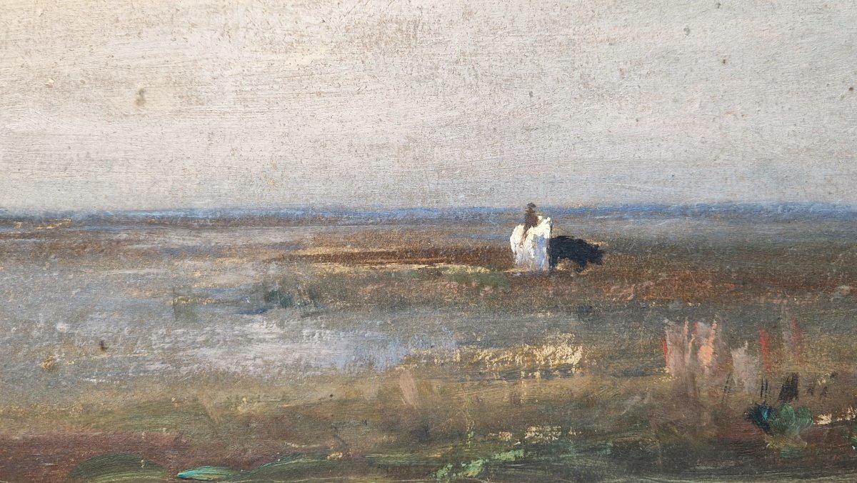 Georges Ricard-Cordingley 1873-1939  Paysage de Camargue Huile sur papier-photo-2