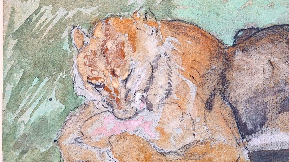 Charles Edmé Saint-Marcel 1819-1890  Le repas du lion Aquarelle et gouache-photo-2