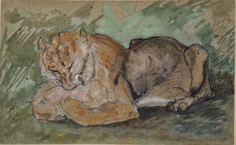 Charles Edmé Saint-Marcel 1819-1890  Le repas du lion Aquarelle et gouache