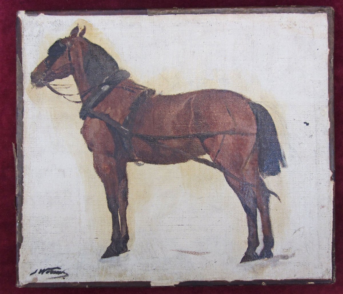 Jules Worms 1832-1924 Etude Pour Un Cheval d'Attelage