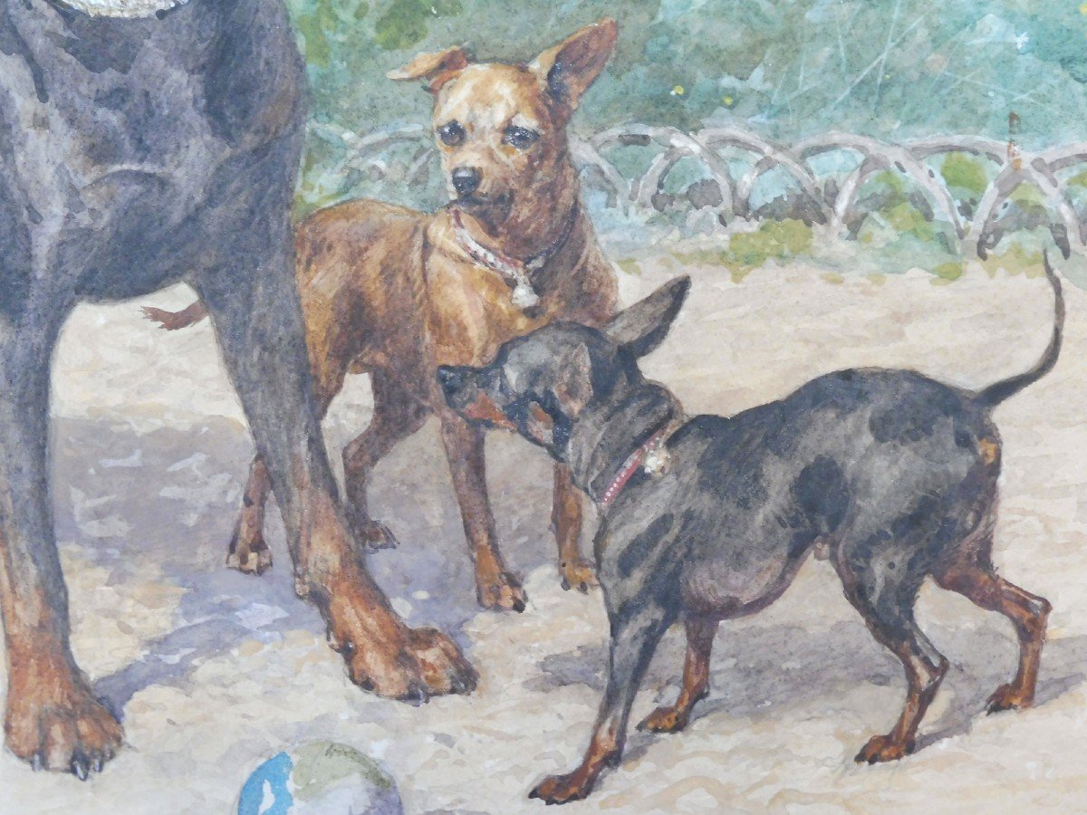 Olivier De Penne 1831-1897 Les Pinschers Watercolor-photo-1