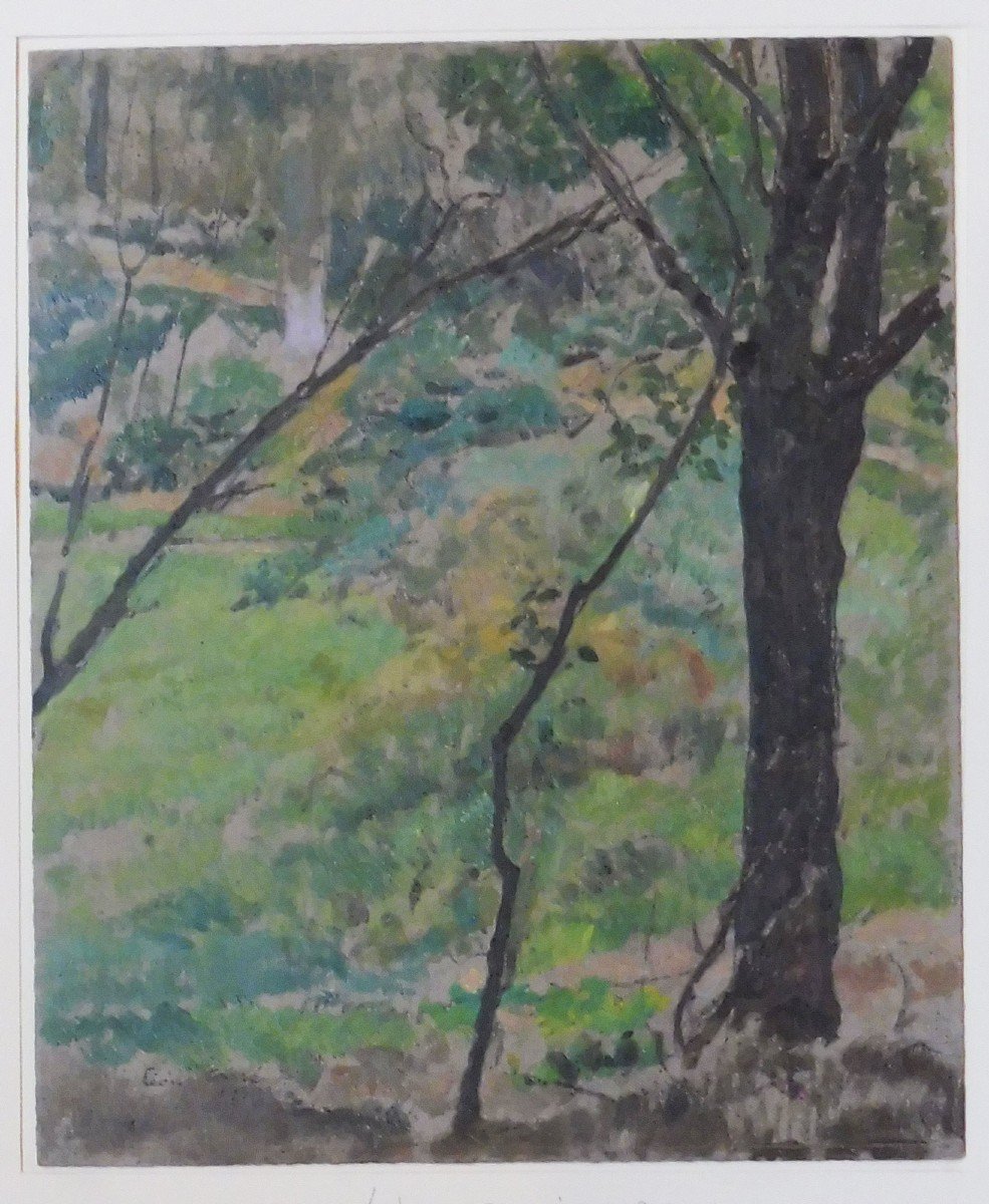 Léon Carré 1878-1942 Landscape Of Algeria Oil On Cardboard