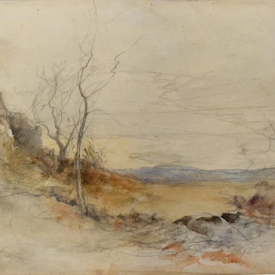 Premiere-Image-1732755