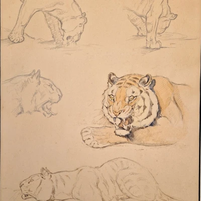 Premiere-Image-1745569