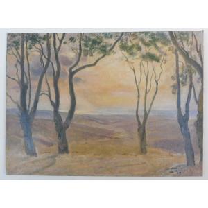 Léon Carré 1878-1942 Paysage D'Algérie Huile Sur Carton