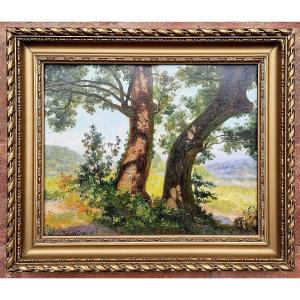 François Marius Valère-bernard 1860-1936 Trees In Provence Oil On Canvas