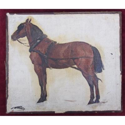 Jules Worms 1832-1924 Study For A Driving Horse