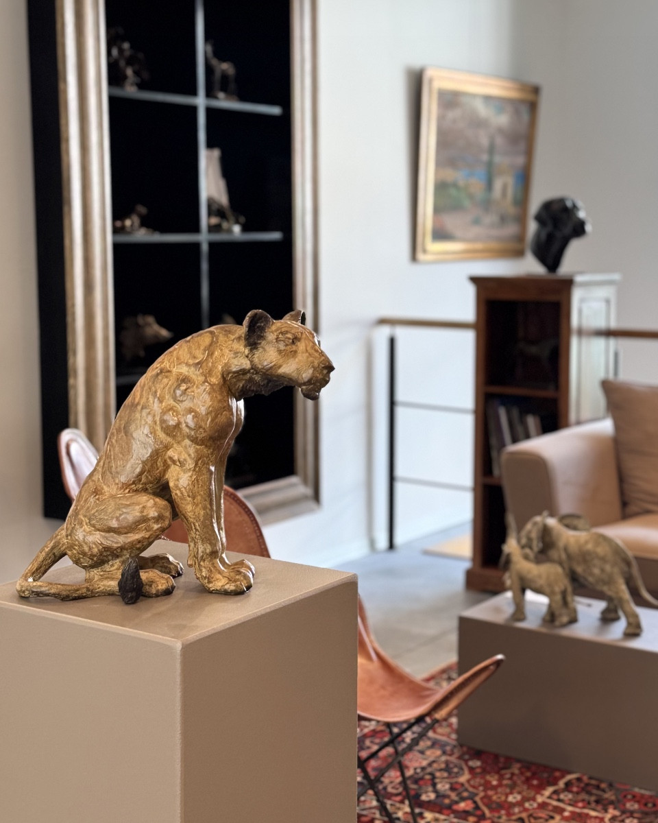 galerie-animalia-diapo-2