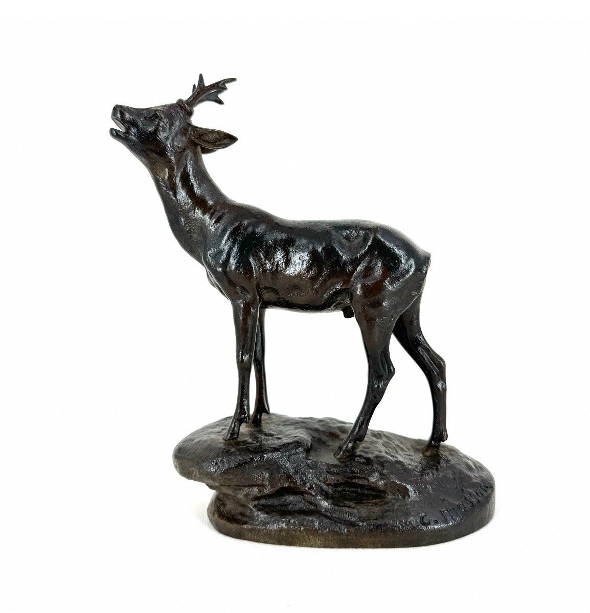 Chevreuil (Brocard) aboyant - Bronze de Clovis Edmond Masson (1838 - 1913)