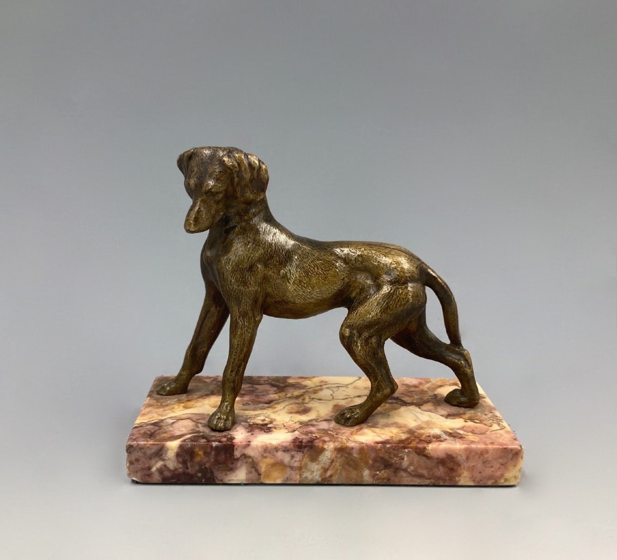 Chien de chasse en bronze, fin du XIXe  - début du XXe siècle