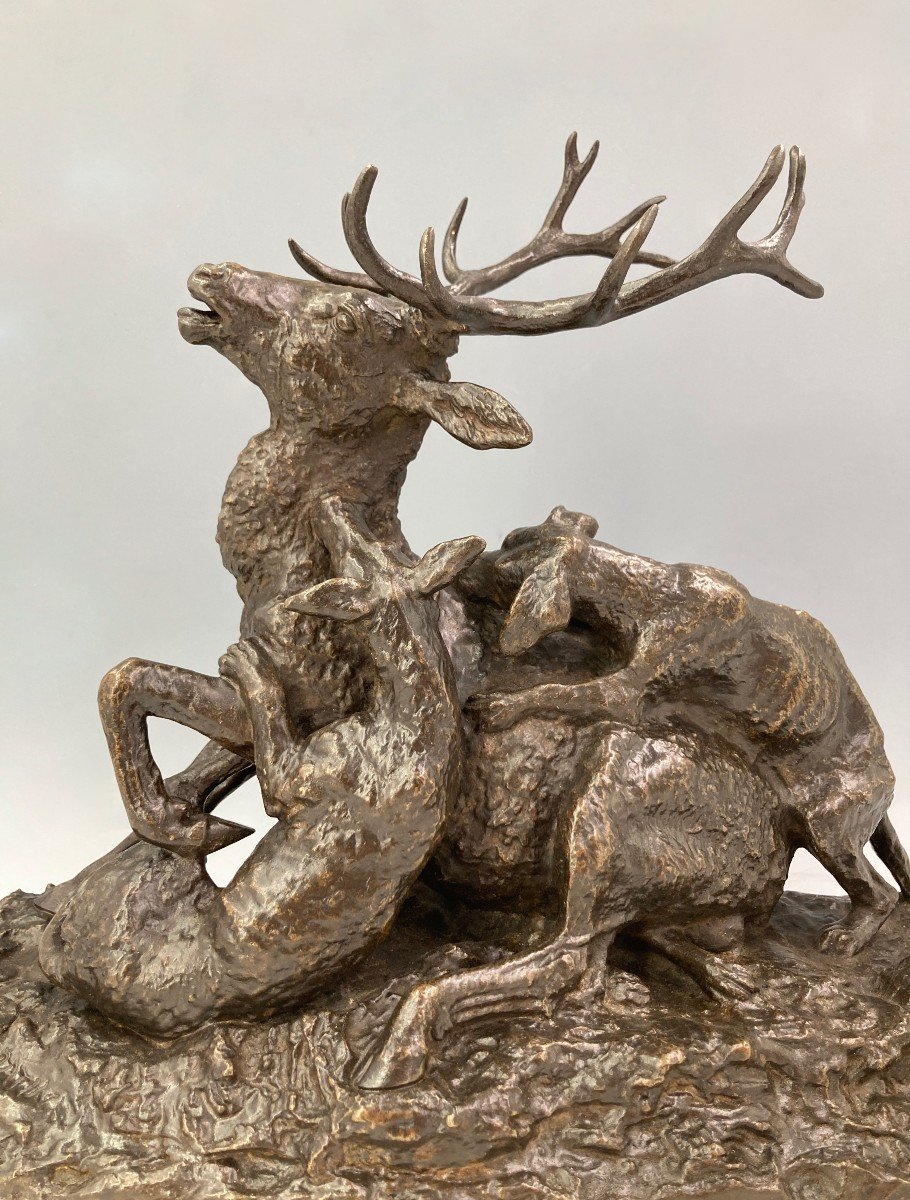 Stag Attacked By Three Dogs - Bronze By Christophe Fratin (1801 - 1864)-photo-3