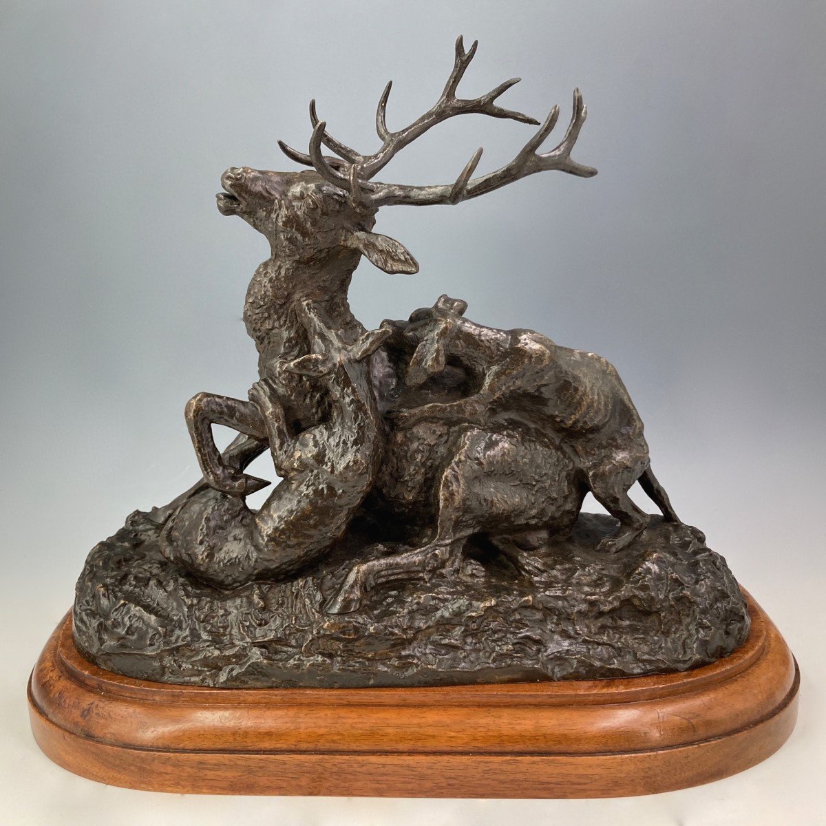 Stag Attacked By Three Dogs - Bronze By Christophe Fratin (1801 - 1864)-photo-1