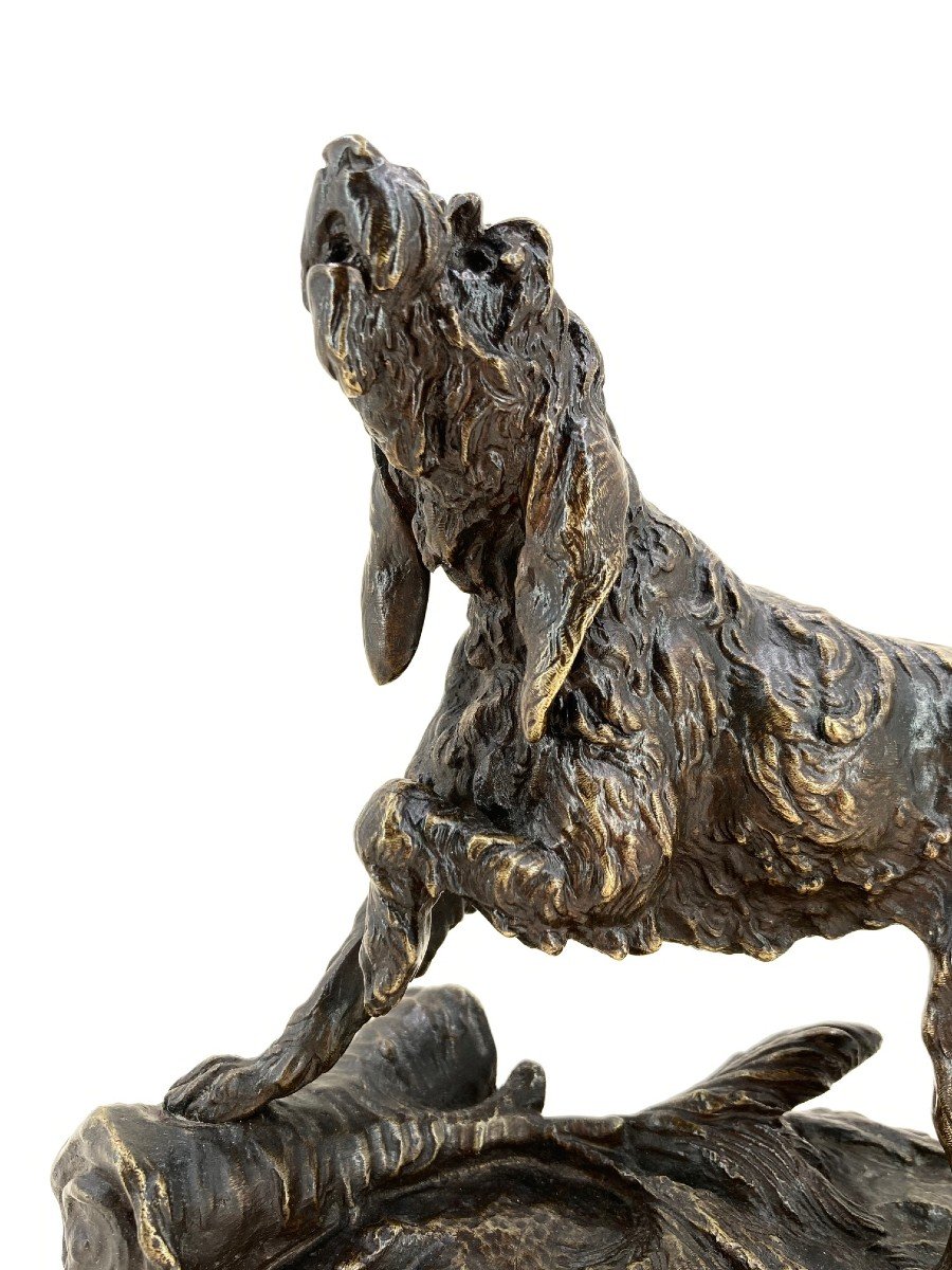 Chien griffon - Bronze de Prosper Lecourtier (1851 - 1925)-photo-4