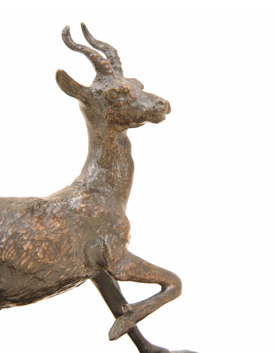 Male Gazelle - Bronze By Christophe Fratin (1801 - 1864)-photo-3