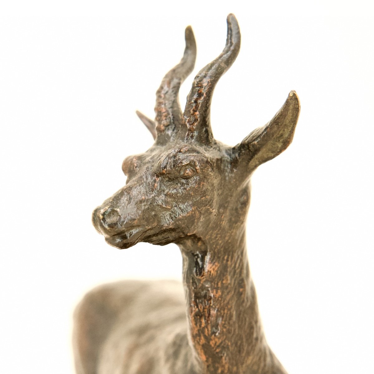 Male Gazelle - Bronze By Christophe Fratin (1801 - 1864)-photo-4