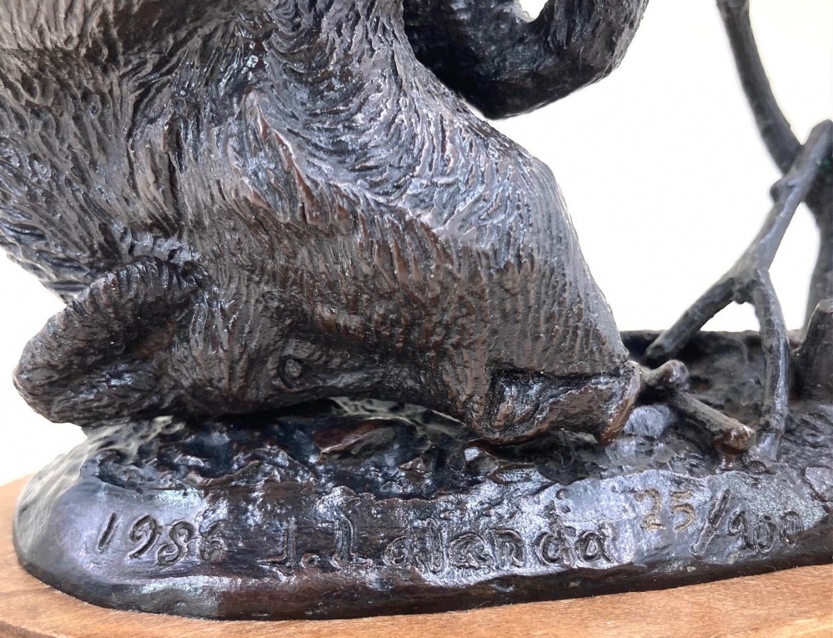 Rolling Wild Boar - Bronze By Josechu Lalanda (1939 - 2015)-photo-3