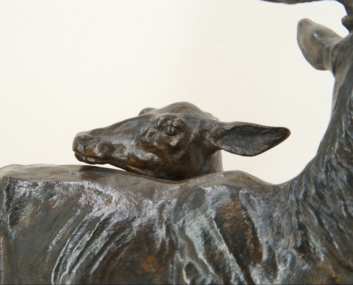 Stag And Doe - Bronze By Alfred Dubucand (1828 - 1894)-photo-1