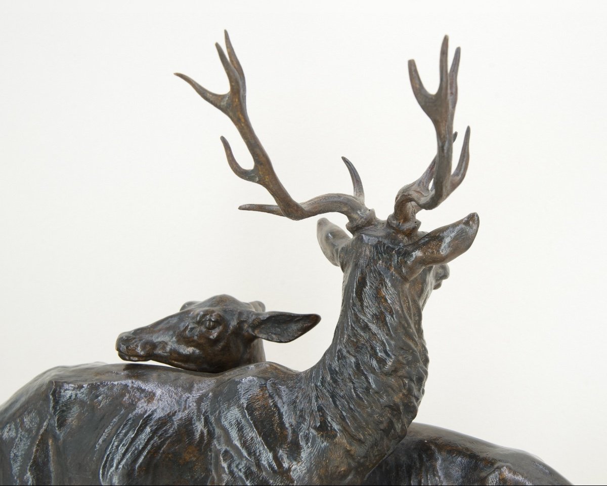 Stag And Doe - Bronze By Alfred Dubucand (1828 - 1894)-photo-2