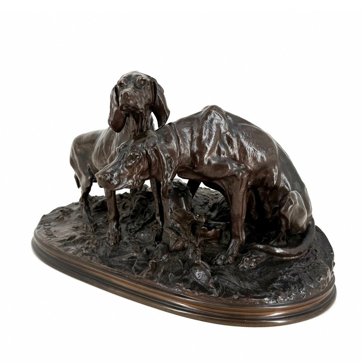 Groupe Chiens au repos (race Saintongeoise) - Bronze de Pierre-jules Mêne (1810 - 1879)-photo-3