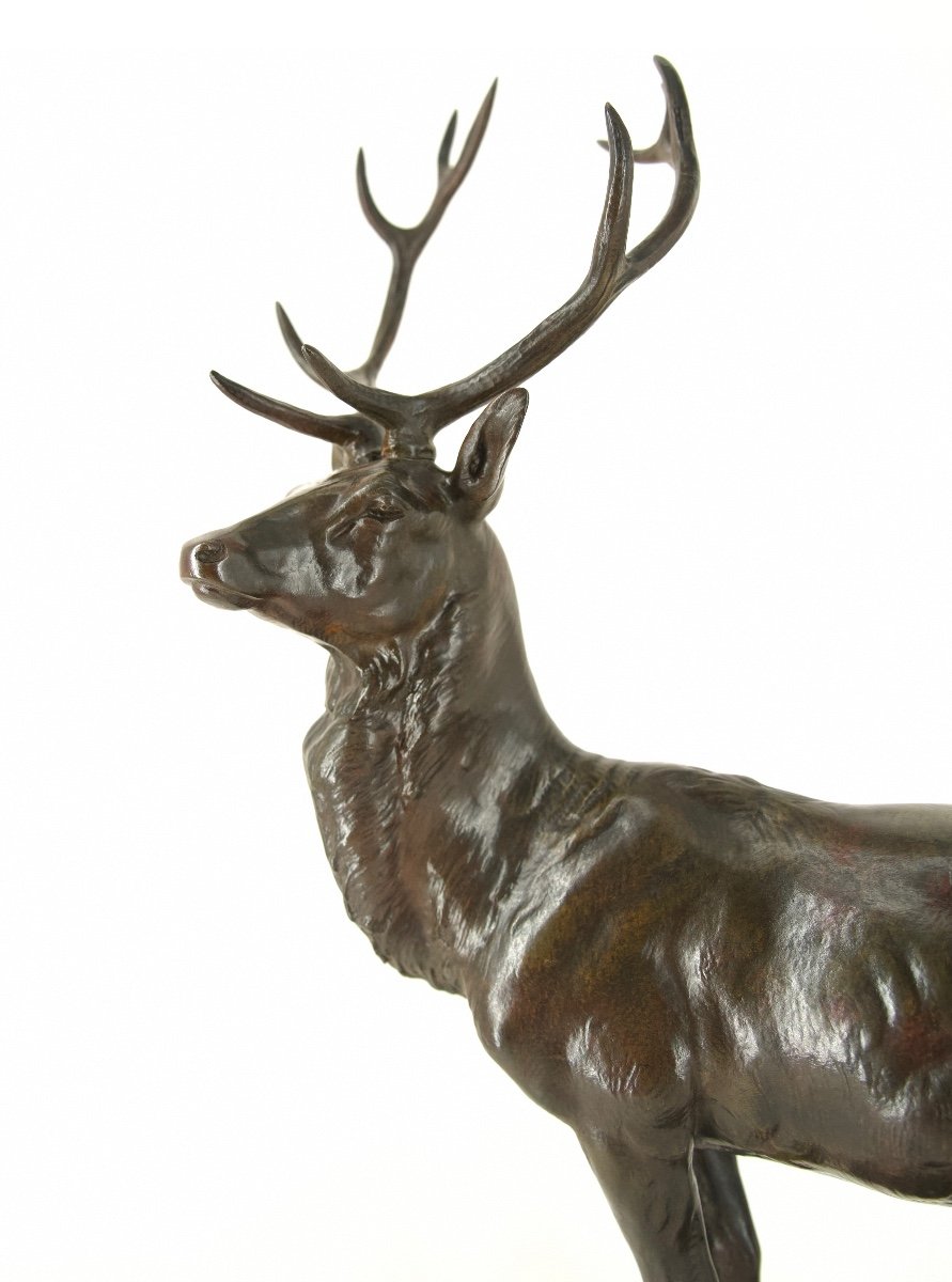 Cerf aux aguets - Bronze de Maximilien Fiot (1886 - 1953)-photo-2