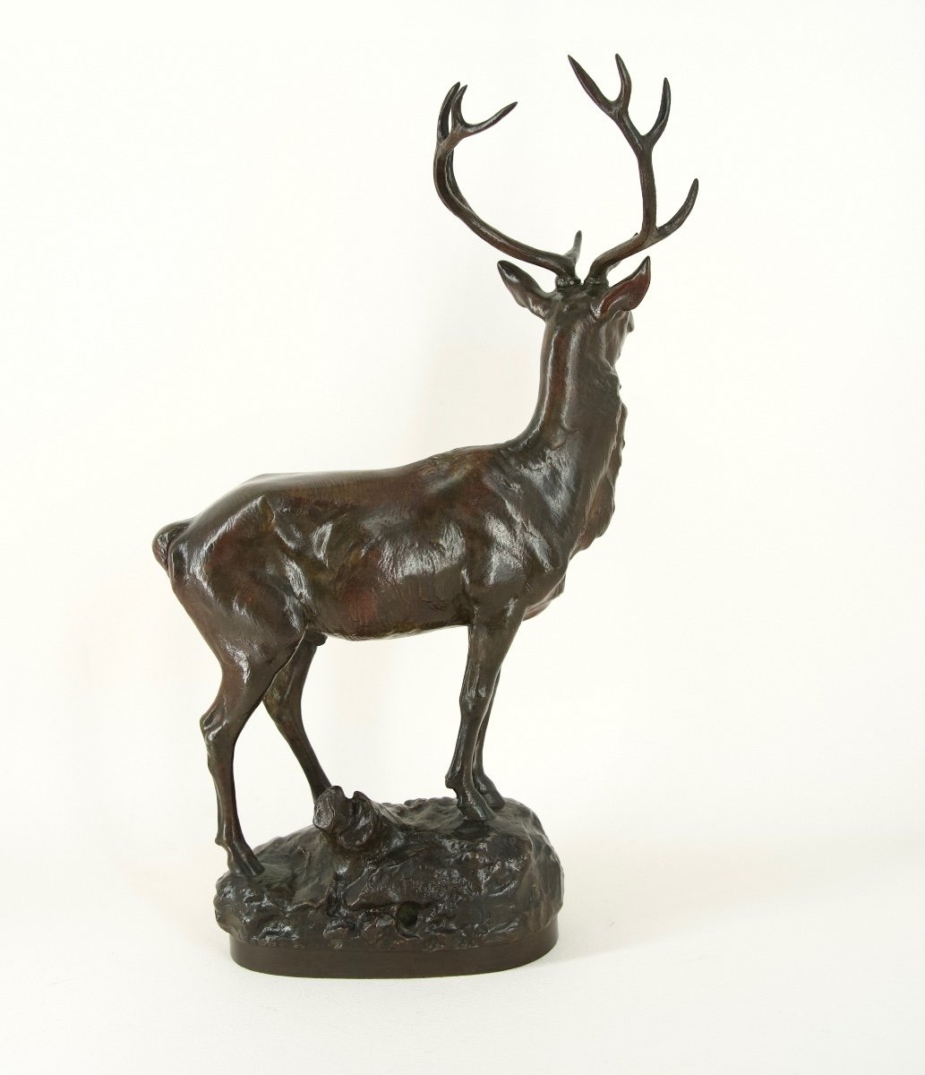 Cerf aux aguets - Bronze de Maximilien Fiot (1886 - 1953)-photo-3