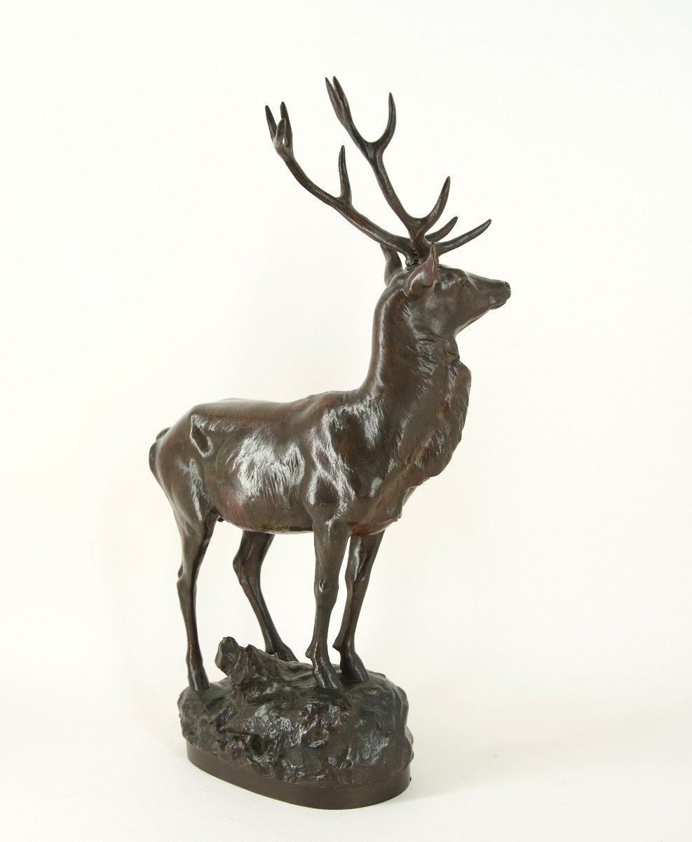 Cerf aux aguets - Bronze de Maximilien Fiot (1886 - 1953)-photo-1