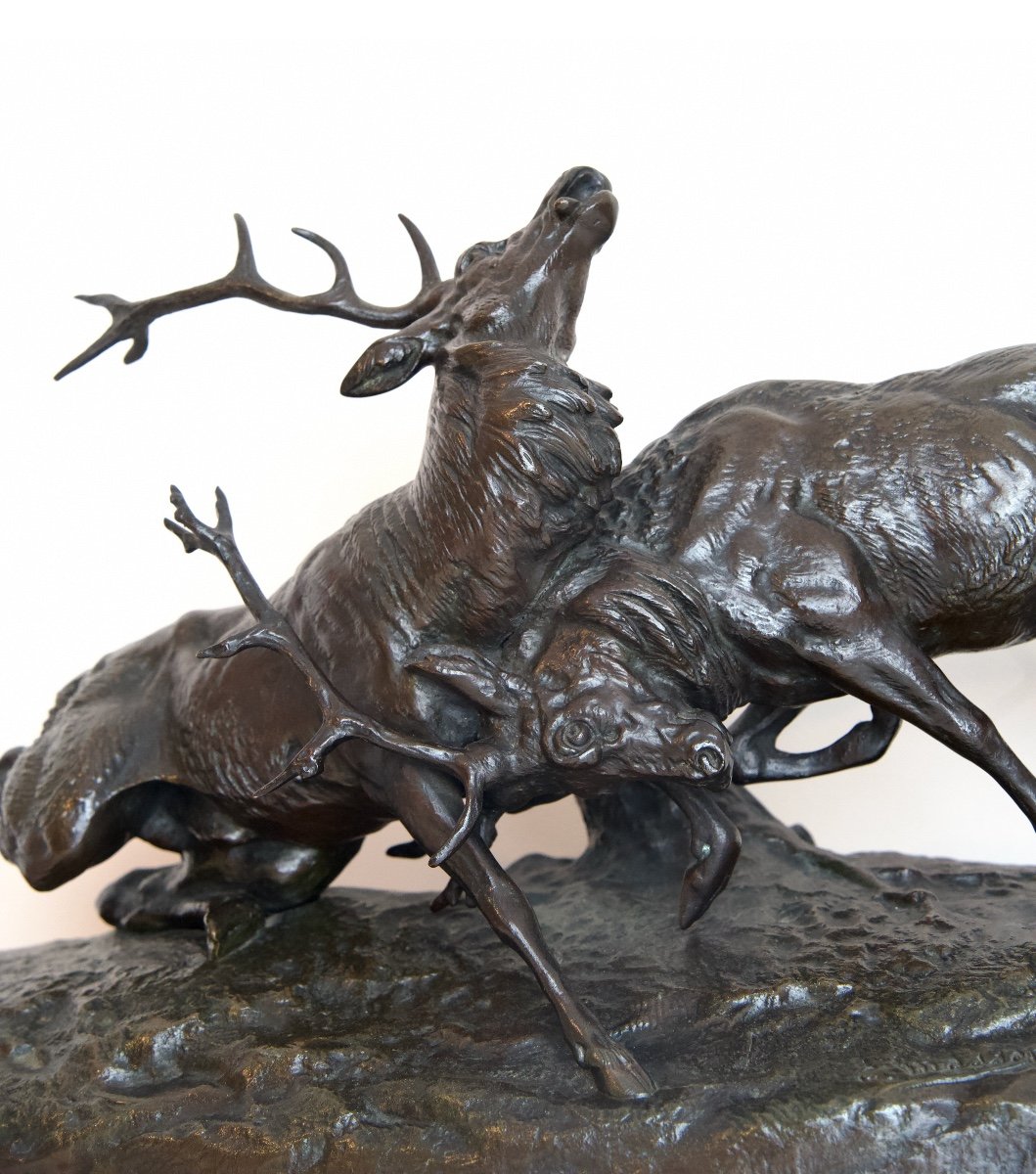 Fighting Stags - Bronze By Clovis-edmond Masson (1838 - 1913)-photo-2
