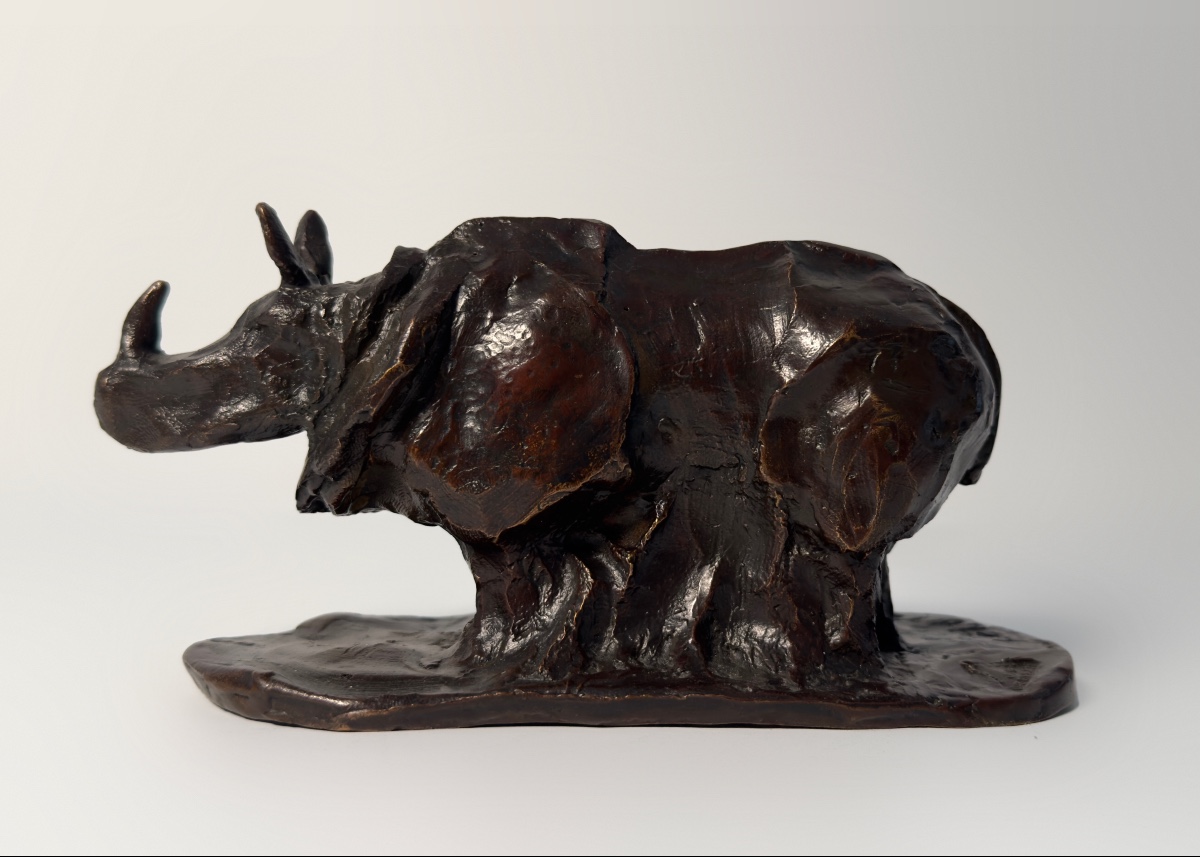 Rhinocéros - Bronze de Guy Le Corroller-photo-3